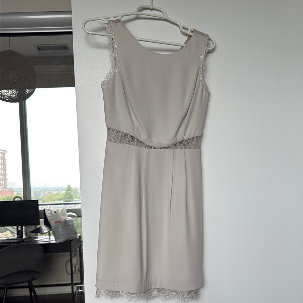 BCBGMaxAzria Cloud Grey Dress